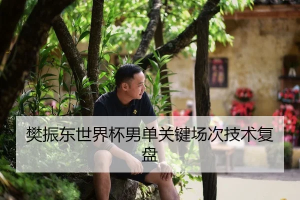樊振东世界杯男单关键场次技术复盘（bountycaptain）